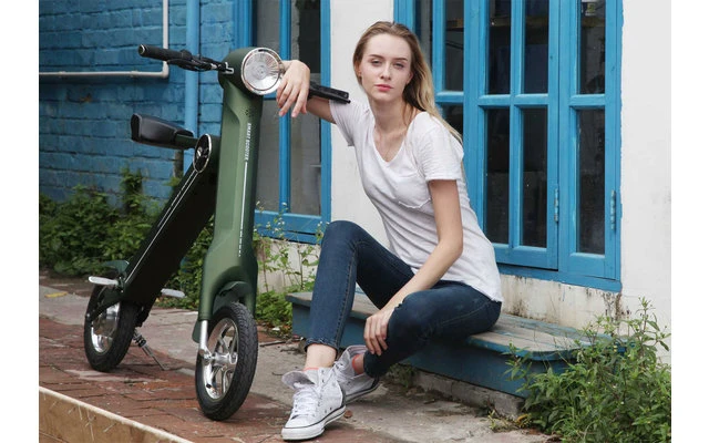 Lehe K1 + E-Mofa Schwarz – Bild 7