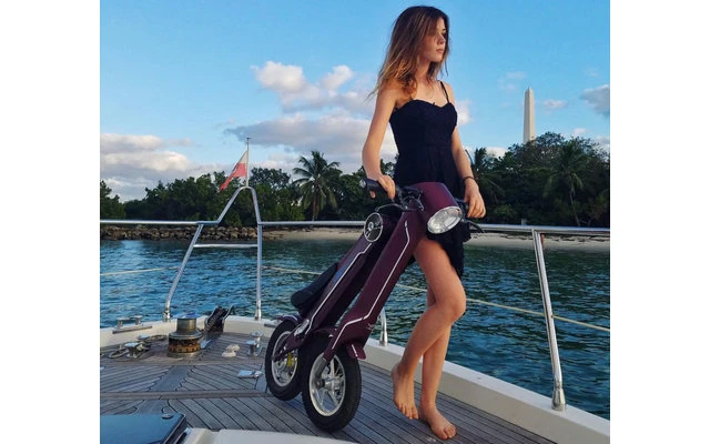 Lehe K1 + E-Mofa Olivgrün – Bild 6