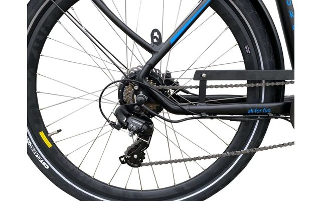 Llobe Trekking-E-Bike 28 Zoll Yukon Lady 13,2 Ah – Bild 6