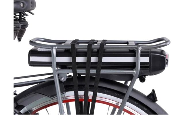 Llobe Rosendaal 3 Lady City E-Bike 28 Zoll Grau 13 Ah – Bild 5