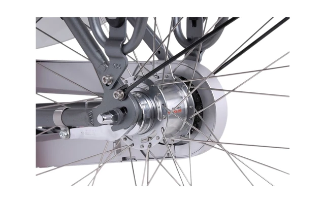 Llobe Rosendaal 3 Lady City E-Bike 28 Zoll Grau 13 Ah – Bild 6