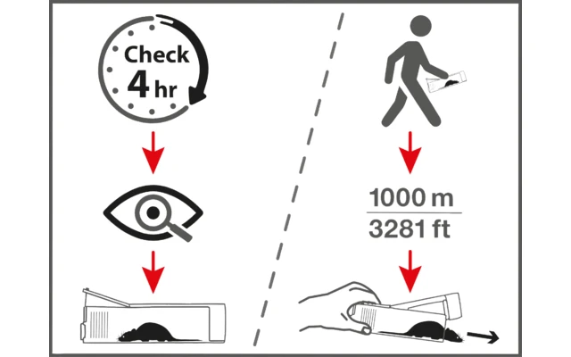 Swissinno Lebendfalle Maushaus Inkl. Köder Giftfrei – Bild 2