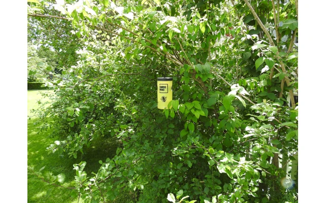 Swissinno Wespenfalle Inkl. Köder -giftfrei- – Bild 3