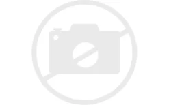 DWT Schaumstoffwulst Bor